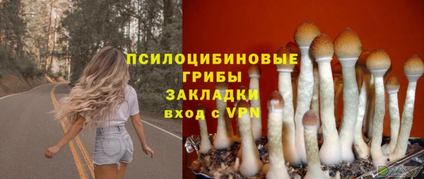метадон Арсеньев