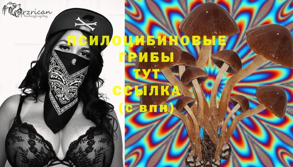 метадон Арсеньев
