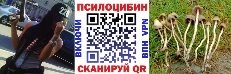 Псилоцибиновые грибы Psilocybe  где найти наркотики  Новомичуринск 